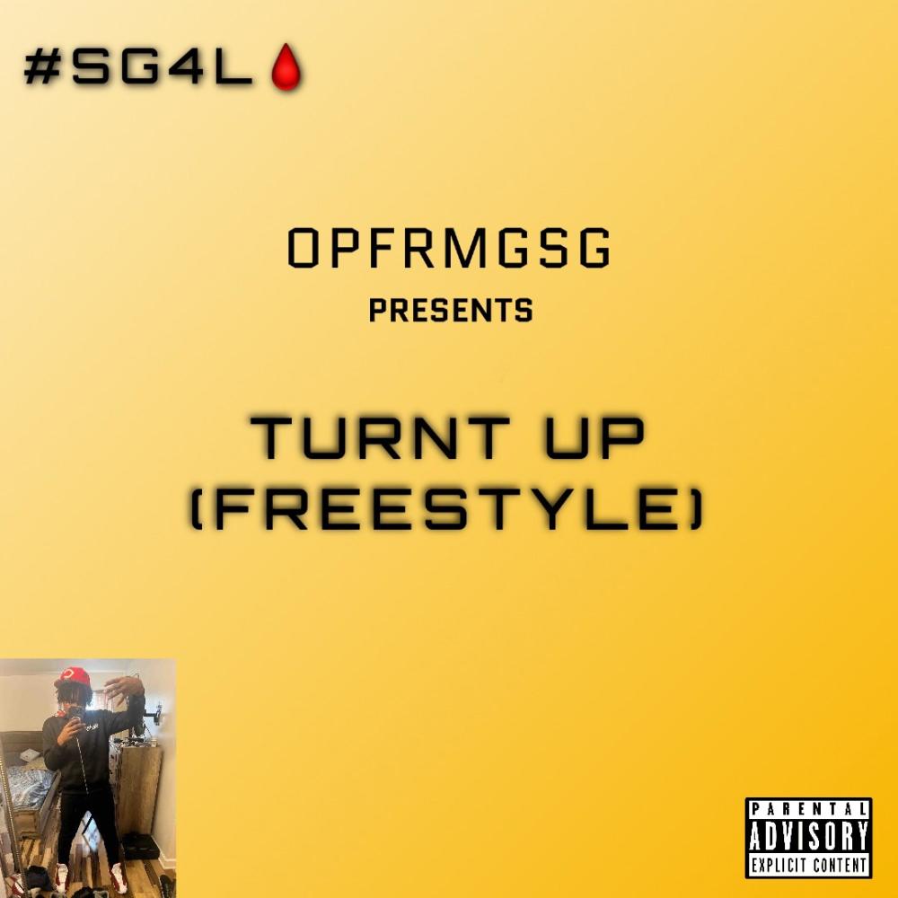 Turnt Up (Freestyle) (Explicit)