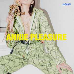 收聽Annie Pleasure的Vaporware歌詞歌曲