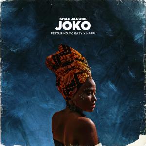 ดาวน์โหลดและฟังเพลง Joko (Remix) พร้อมเนื้อเพลงจาก Shae Jacobs