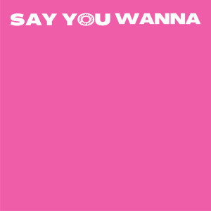 Fiilth的專輯Say You Wanna