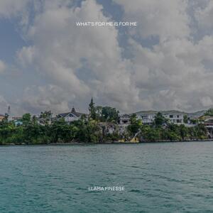 Llama Fine$$e的專輯WHAT'S FOR ME IS FOR ME (Explicit)