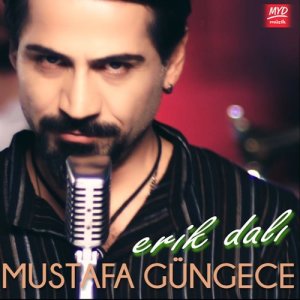 ดาวน์โหลดและฟังเพลง Erik Dalı พร้อมเนื้อเพลงจาก Mustafa Güngece