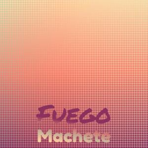 Various Artists的專輯Fuego Machete