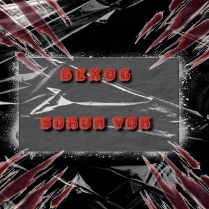 Album Sorun Yok (Explicit) from 