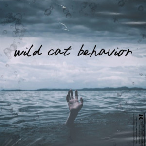 Ariel Noah的專輯wild cat behavior