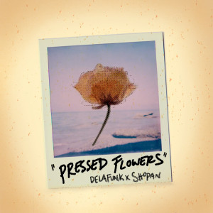 DELAFUNK的專輯Pressed Flowers