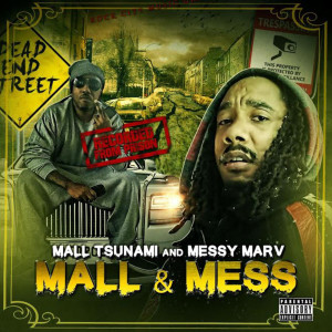 Album Mall & Mess (Explicit) from Mall Tsunami