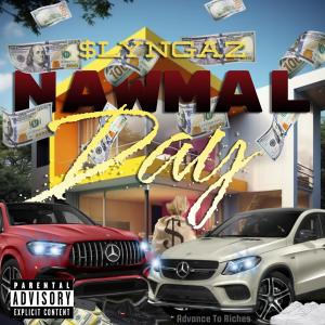 收聽Slyngaz的Nawmal Day歌詞歌曲
