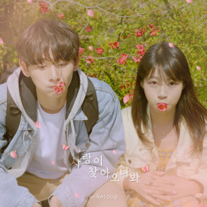 Album Fall In Love from 와인루프