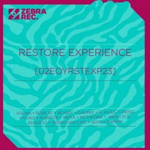 Various的專輯Restore Experience