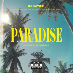 Album Paradise from Dj Kaygo