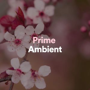 New Age的专辑Prime Ambient