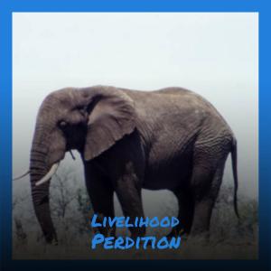 Listen to Noncitizen Featured song with lyrics from Shannell Piera