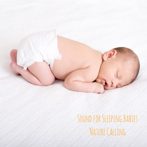 Album 잠 못드는 아기들을 위한 소리 Sound for Sleeping Babies oleh 네이쳐콜링