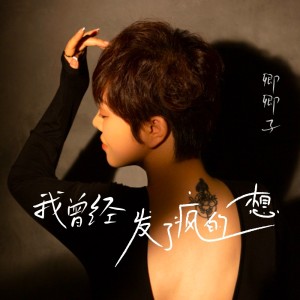 Listen to 我曾经发了疯的想 song with lyrics from 卿卿子