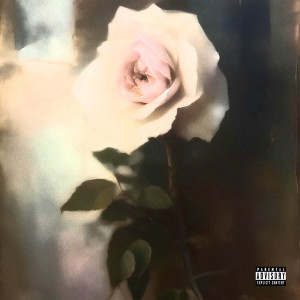 Album Не Веришь Словам (Explicit) from renfry