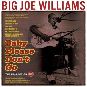 Dengarkan lagu Elevate Me Baby nyanyian Big Joe Williams dengan lirik
