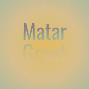 Album Matar Groot oleh Various