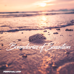 Listen to Boundaries of Sensation song with lyrics from Perpetual Loop