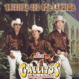 ดาวน์โหลดและฟังเพลง Llama De Amor พร้อมเนื้อเพลงจาก Los Gallitos de Chihuahua