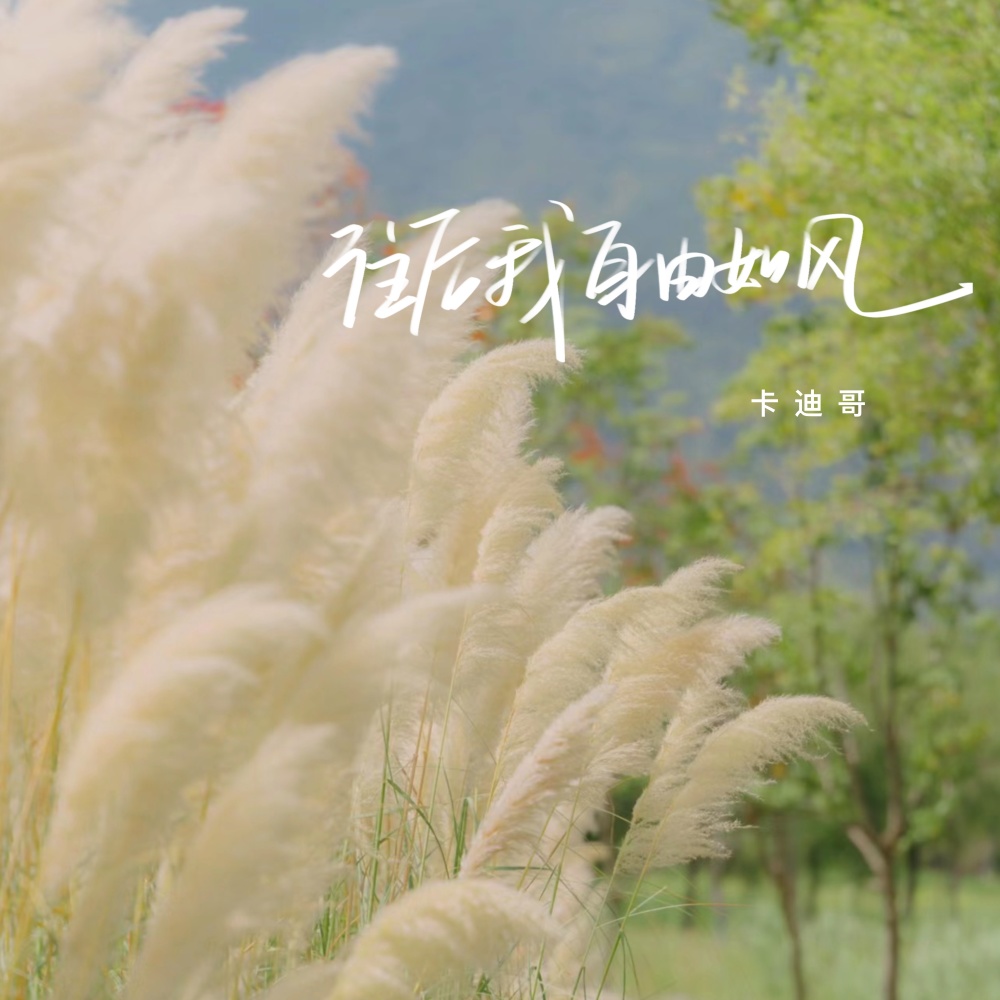 往后我自由如风 (伴奏)