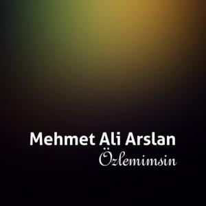 ดาวน์โหลดและฟังเพลง Hay Hay พร้อมเนื้อเพลงจาก Mehmet Ali Arslan