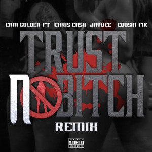 Album Trust No Bitch (Remix) (Explicit) from Cousin Fik