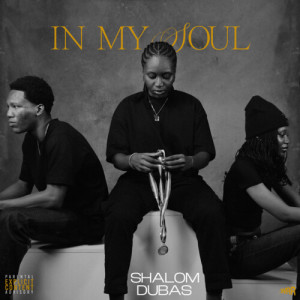 Album In My Soul (Explicit) from Shalom Dubas