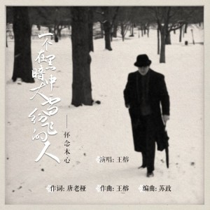 Album 一个在黑暗中大雪纷飞的人 from 王榕
