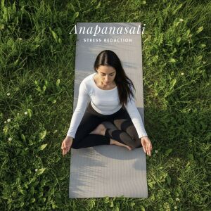Album Anapanasati Stress Reduction from Relaxation Meditation Songs Divine