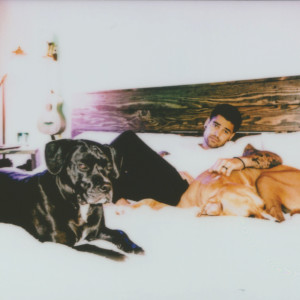 Listen to Wants What It Wants (Explicit) song with lyrics from Rajiv Dhall