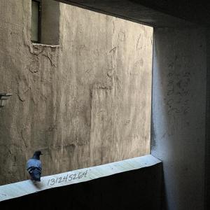 Zye的專輯Abandoned