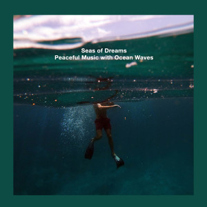收听Seas of dreams的Relaxation Waves歌词歌曲