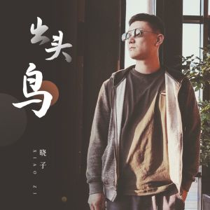 Album 出头鸟 from 晓子