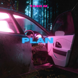 Album Plan oleh Tash M