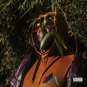 Listen to Thew (Explicit) song with lyrics from Oba Rowland