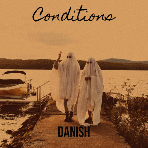 Album Conditions from Danish