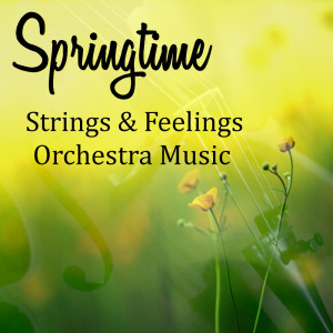 收听Berlin Symphony Orchestra的I歌词歌曲