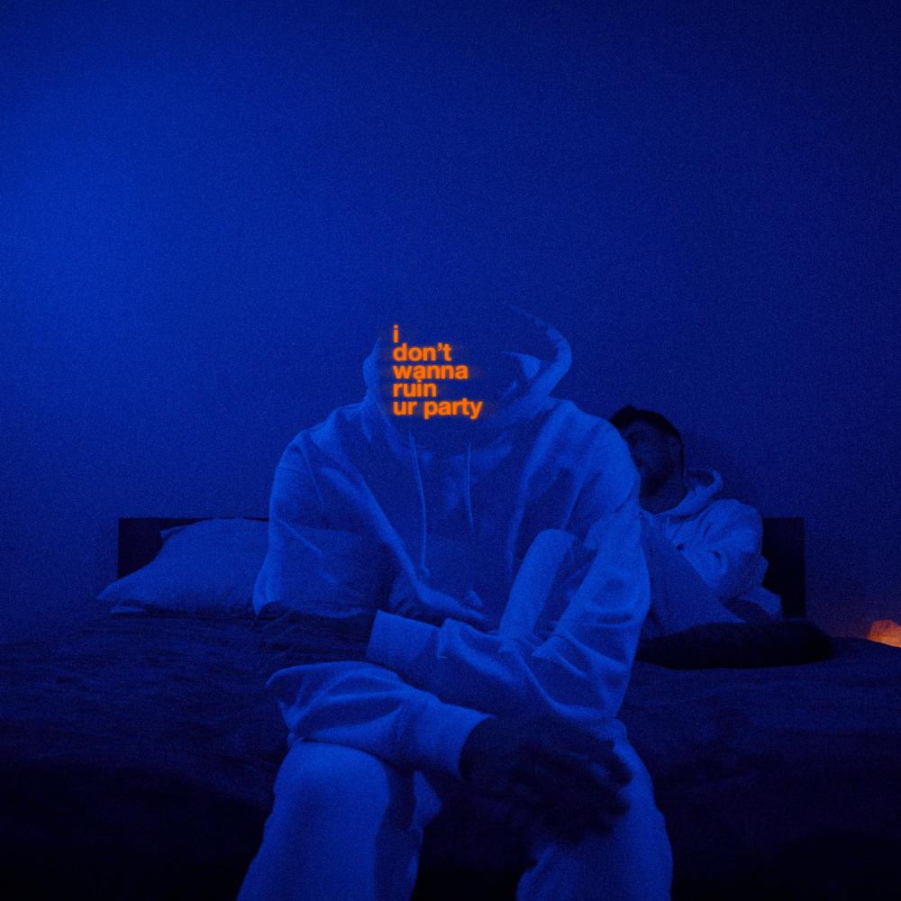 i don't wanna ruin ur party (Explicit)