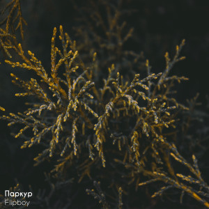 อัลบัม Паркур (Explicit) ศิลปิน Flipboy