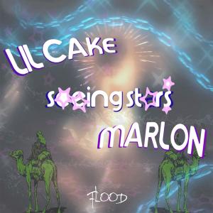 ดาวน์โหลดและฟังเพลง seeing stars (Explicit) พร้อมเนื้อเพลงจาก Lil Cake