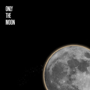 Stan Simon的专辑Only the Moon
