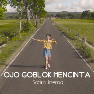 Dengarkan Ojo Goblok Mencinta lagu dari Safira Inema dengan lirik