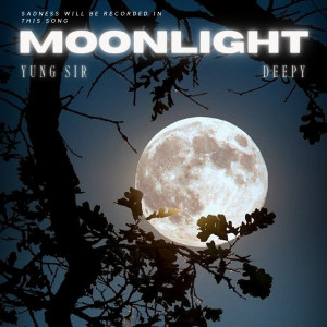 Album MOONLIGHT from Yung Sir