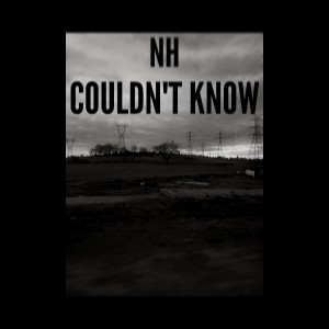 收聽Nh的Couldn't Know歌詞歌曲