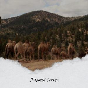 收听Miet Bander的Proposed Corner歌词歌曲