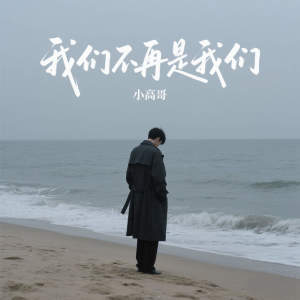 Album 我们不再是我们 from 小高哥