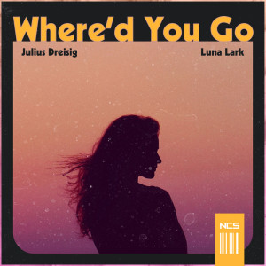 ดาวน์โหลดและฟังเพลง Where'd You Go พร้อมเนื้อเพลงจาก Julius Dreisig