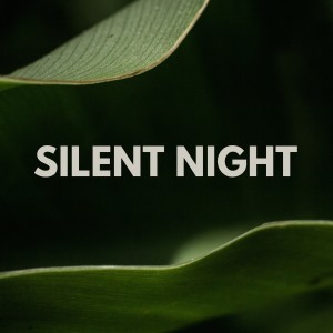 ดาวน์โหลดและฟังเพลง Silent Night พร้อมเนื้อเพลงจาก Spa Radiance