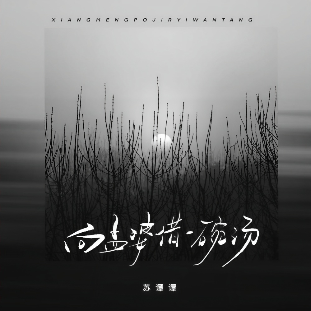 向孟婆借一碗汤 (DJ默涵版伴奏)